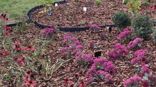 Ogród sensoryczny w Świdniku