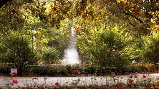 Jesień zajrzała do Ogrodu Saskiego Jesień zajrzała do Ogrodu Saskiego