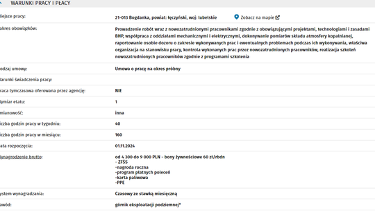GÓRNIK, KOORDYNATOR/ OPIEKUN NOWOZATRUDNIONYCH