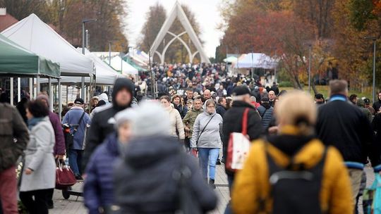 Wzmożony ruch na lubelskich cmentarzach Cmentarz Komunalny na Majdanku 