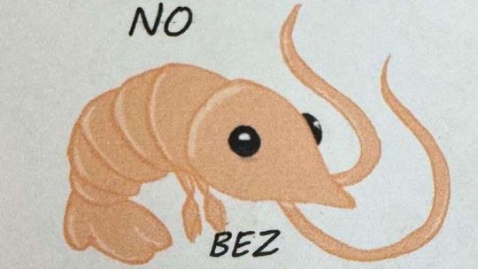 Miej odwagę się badać - uczniowie Ekonomika w walce z nowotworami Miej odwagę się badać - uczniowie Ekonomika w walce z nowotworami