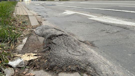 Ulica Zana szykuje się na przebudowę Ulica Zana szykuje się na przebudowę