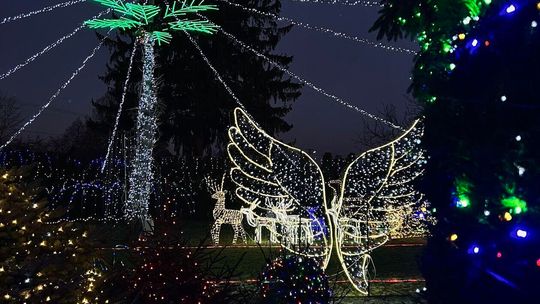 Dekoracje państwa Tupikowskich z miejscowości Wólka Zdunkówka Dekoracje państwa Tupikowskich z miejscowości Wólka Zdunkówka