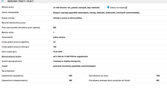 ELEKTRYK/ELEKTROMECHANIK SAMOCHODOWY
