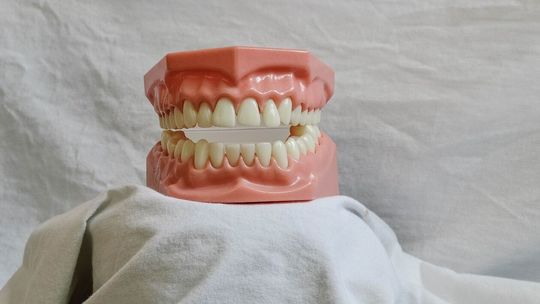  lek. dent. Kamil Rogatko