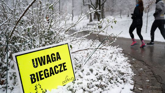 Bieganie w Ogrodzie Saskim