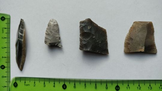 odkrycia w powiecie tomaszowskim