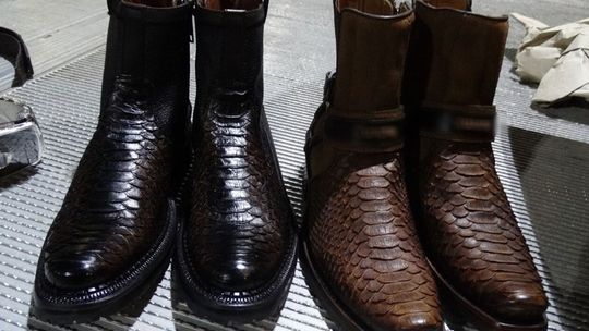 rzeczy chronione konwencją Cites zatrzymane na granicy rzeczy chronione konwencją Cites zatrzymane na granicy