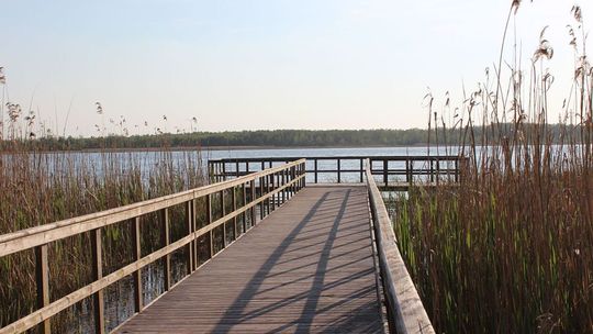 Poleski Park Narodowy