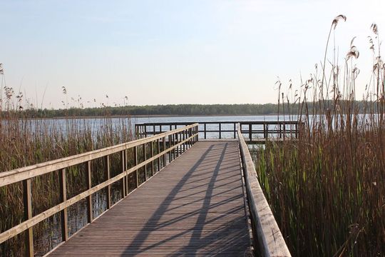 Poleski Park Narodowy