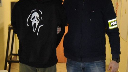 Narkobiznes w powiecie radzyńskim Narkobiznes w powiecie radzyńskim