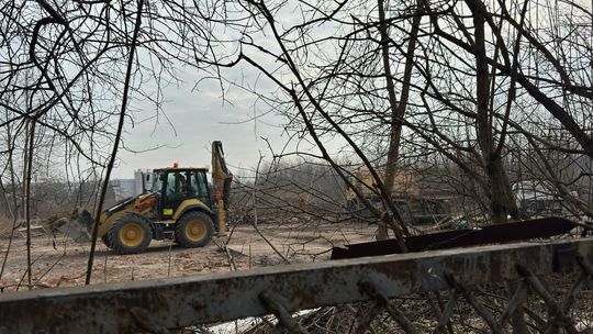 Wycinka na Wrotkowie