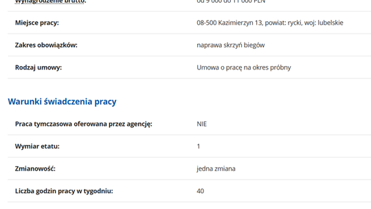 MECHANIK SKRZYŃ BIEGÓW 