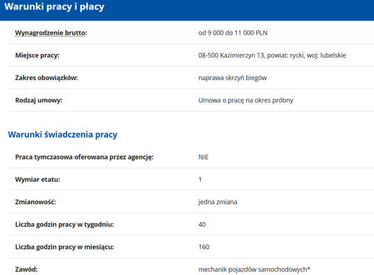 MECHANIK SKRZYŃ BIEGÓW 