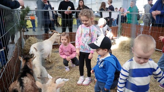 Weekend ze zwierzętami w Targach Lublin