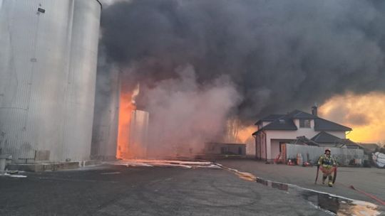 Pożar w Maniach Pożar w Maniach