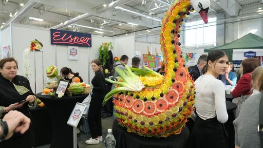 Targi edukacyjne w Targach Lublin