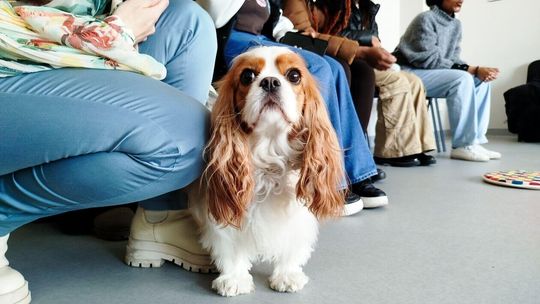 Dni otwarte Akademii Wincentego Pola Dni otwarte Akademii Wincentego Pola