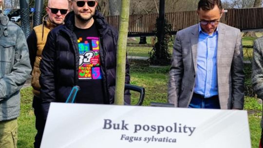 Drzewo pamięci Riada Haidara w Białej Podlaskiej 