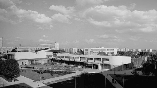 Historia Chatki Żaka