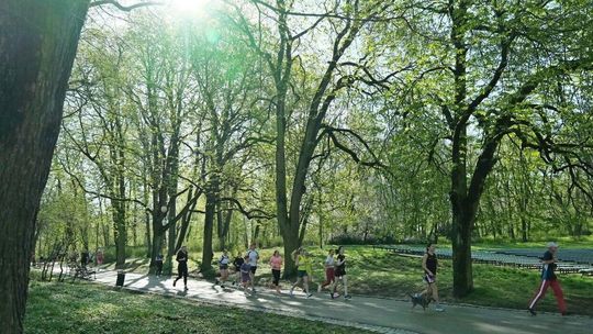 W Wielką Sobotę pobiegli w Ogrodzie Saskim 231 parkrun 