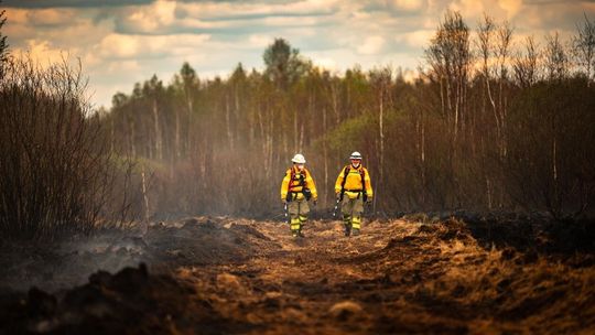 Pożar Biebrzańskiego Parku Narodowego Pożar Biebrzańskiego Parku Narodowego