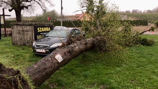 Piątkowa burza w powiecie puławskim
