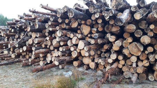 AMW wyprzedaje rzeczy warte pół mln zł