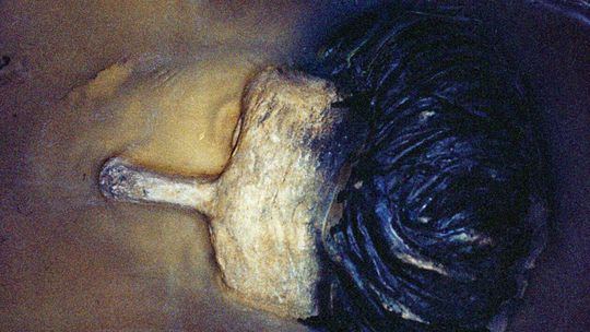 Przyjdzie noc - nowa wystawa w Galerii Fotografii Ratusz