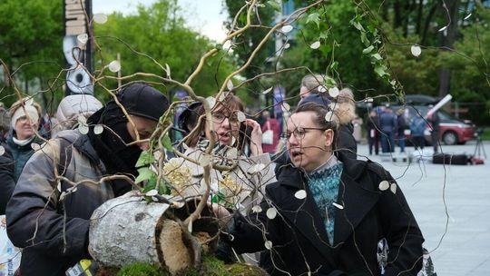 Rozpoczyna się weekend z florystyką na pl. Teatralnym