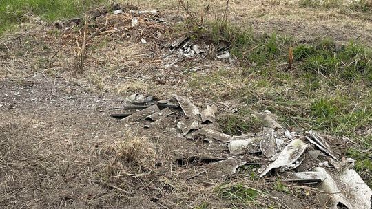 Wycinka przy gruntowej drodze w Biszczy