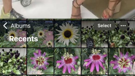 Memy z mamami na Dzień Matki