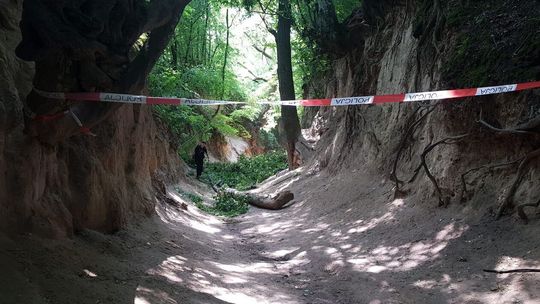Służby na miejscu wypadku w wąwozie w Kazimierzu Dolnym Służby na miejscu wypadku w wąwozie w Kazimierzu Dolnym