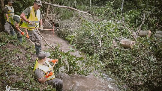 Terytorialsi pomagali po burzach w Kraśniku