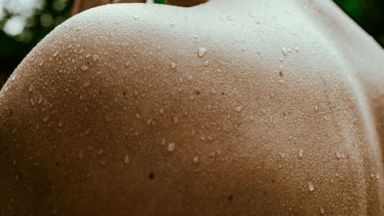  dr n. med. Katarzyna Wolska-Gawron