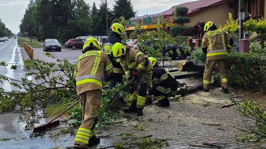 Burzowo na Lubelszczyźnie. Wiatr łamał drzewa i zrywał dachy Burzowo na Lubelszczyźnie. Wiatr łamał drzewa i zrywał dachy