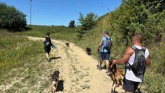 Skazani jako wolontariusze w schronisku Skazani jako wolontariusze w schronisku