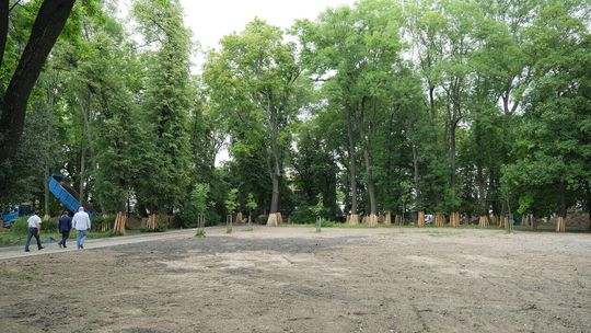 Rewitalizacja Parku Bronowickiego trwa