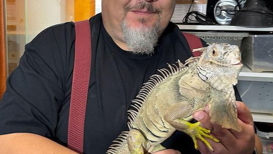 Dzień otwarty w Schronisku dla Bezdomnych Zwierząt w Lublinie