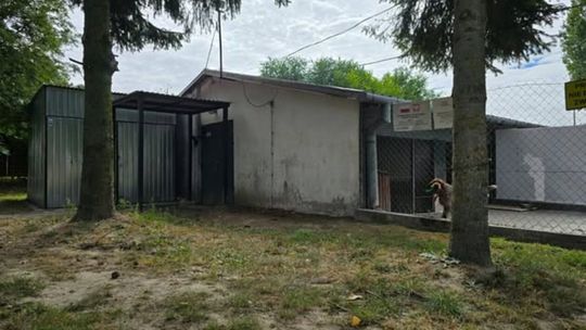 Budynek dla psów w Schronisku dla Bezdomnych Zwierząt w Zamościu
