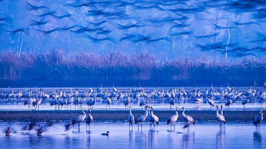 Najciekawsze prace XI Zamojskiego Przeglądu Fotografii Najciekawsze prace XI Zamojskiego Przeglądu Fotografii