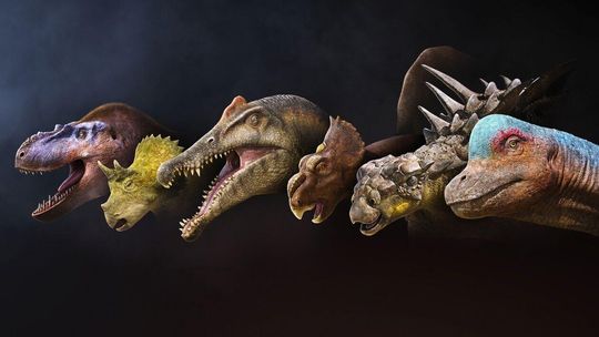 Wędrówki z dinozaurami 