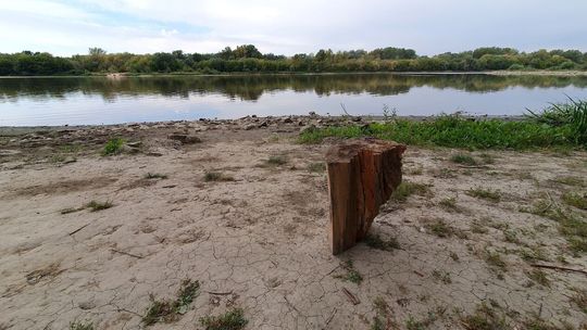 Wisła wysycha. W sierpniu padł rekord