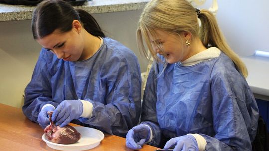 Lubelski Festiwal Nauki z Akademią Zamojską Lubelski Festiwal Nauki z Akademią Zamojską