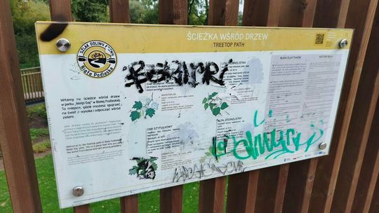 Zniszczenia w Małpim Gaju w Białej Podlaskiej