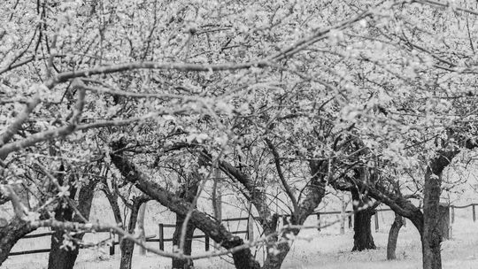 Magicy wody - zdjęcia Doroty Raczyńskiej w GF Ratusz