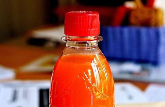 Najdłuższy wąż z nakrętek po napojach