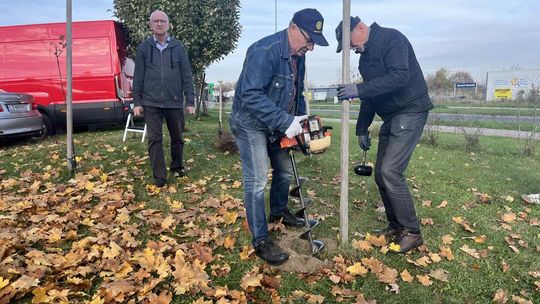 Zielone płuca dla Zamościa - edycja jesienna 2025