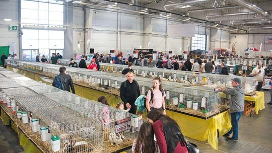 Zoopark 2025 w Targach Lublin