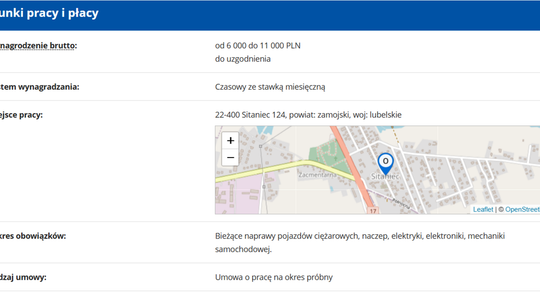 ELEKTRYK/ ELEKTROMECHANIK SAMOCHODOWY